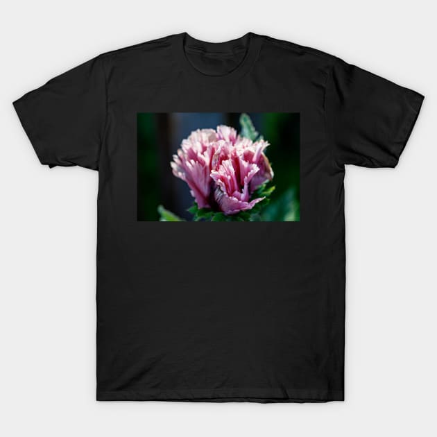 Frilly purple oriental poppy T-Shirt by blossomcophoto